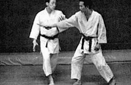 Kata is not a theater! The sincerity of practice in classical martial arts to discover "Efficiency"
