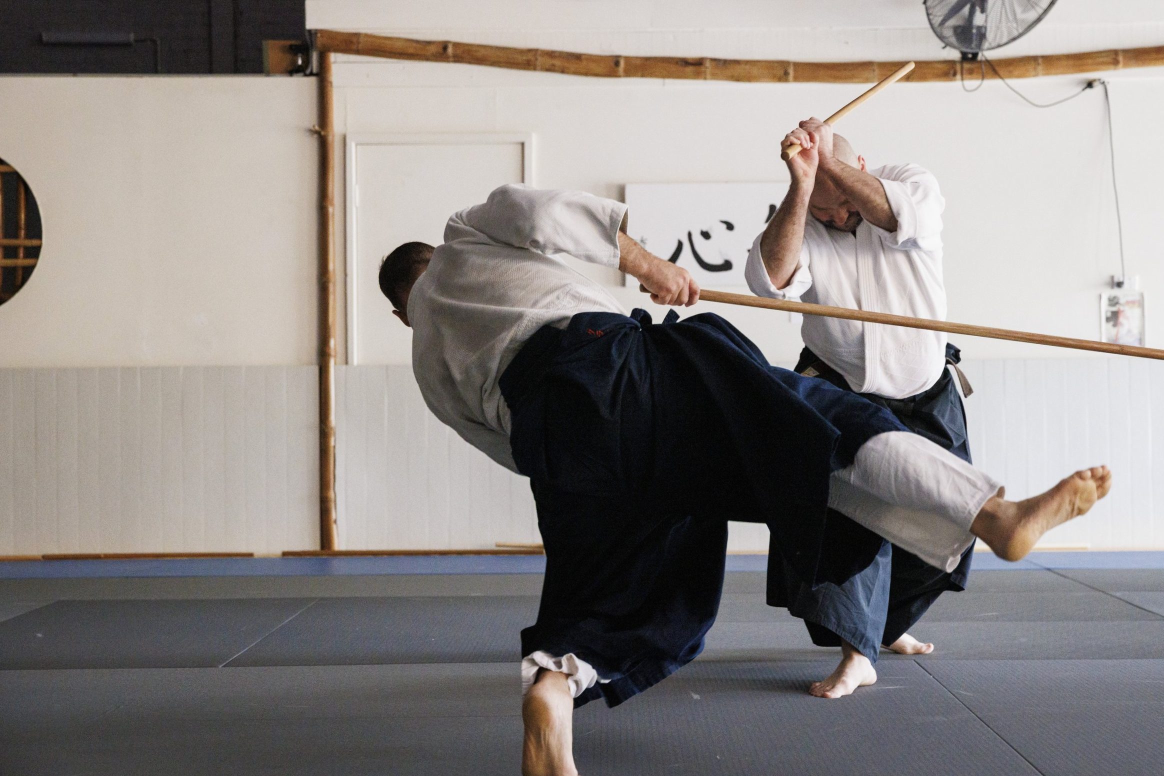 "Martial arts, rifles and artillery are all Aikido"