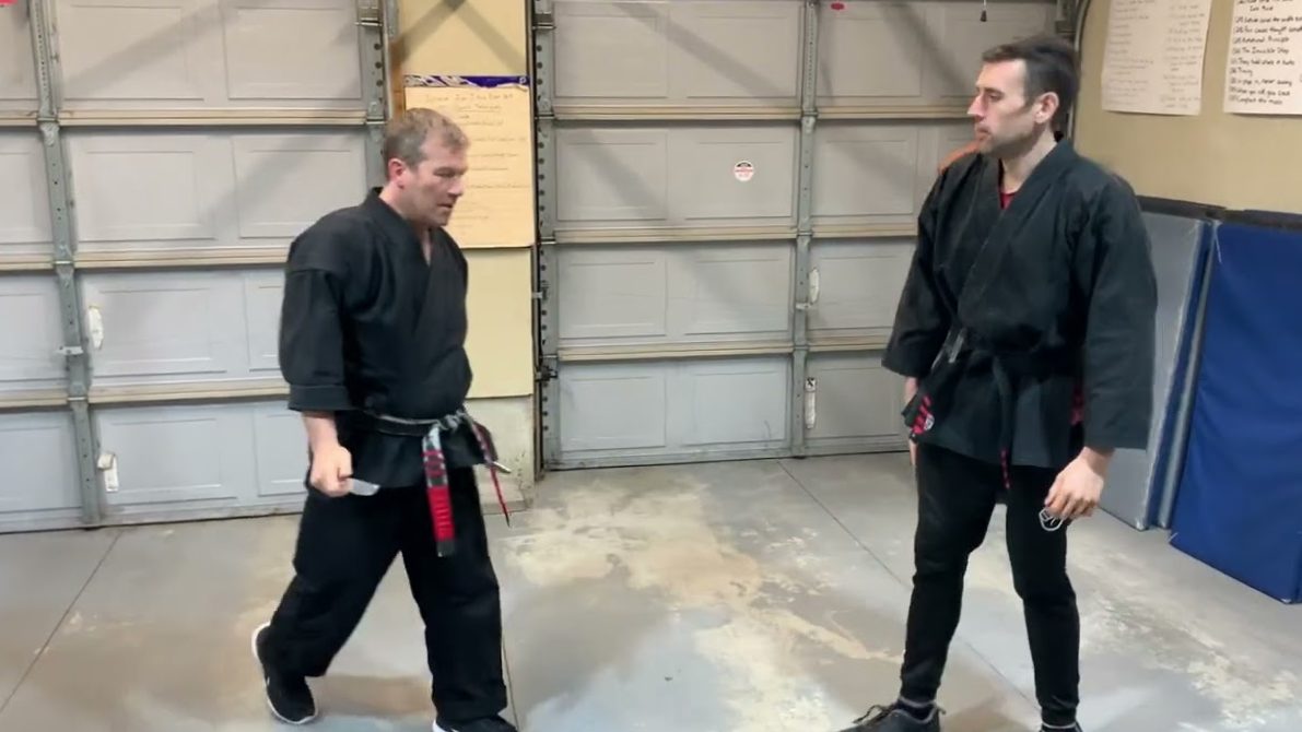 The essence of Kenpo in 8 files