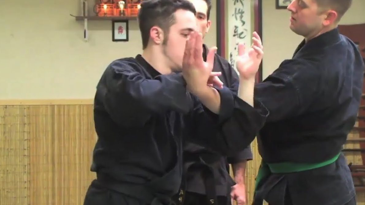 Ways to understand Kihon Happo