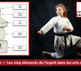 Gokyo – The five elements of the mind in martial arts