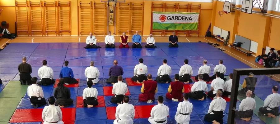 Romanian Federation of Modern Aikido Nursery School Cup - Aiki-Concept