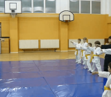 ACS Aiki Concept: practice with adults