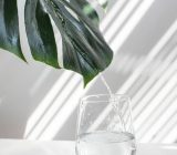 Quick cure for weight loss with warm water